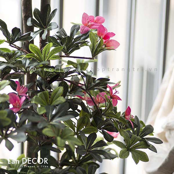 💥 Cây giả - Cây Hoa đỗ quyên trang trí nhà, ban công đẹp Lan Decor 170cm - LC2450