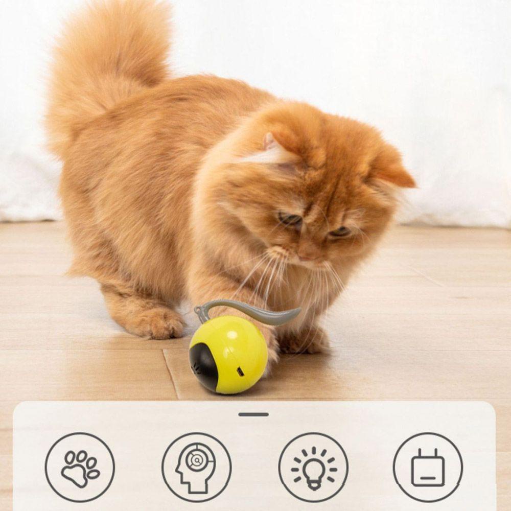 Bóng Đồ Chơi Thông Minh Cho Mèo Cưng
