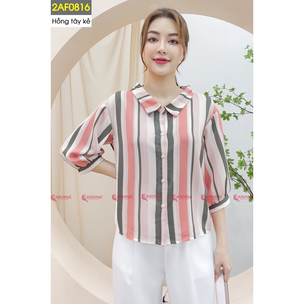 Mã 2AF08 và 2Q04 - Áo sơmi mango và quần baggy Cardina