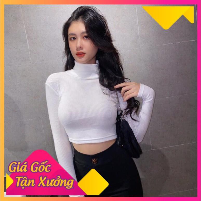 Áo Croptop Cổ Lọ Dài Tay Dễ Phối Đồ Phong Cách Hàn Quốc Trẻ Trung Năng Động Xinh Xắn | Áo Croptop Cổ Lọ Dài Tay CT31