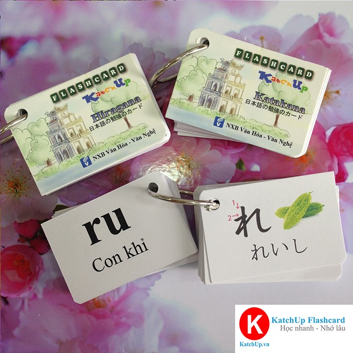 Bộ KatchUp Flashcard Bảng chữ cái Hiragana và Katakana