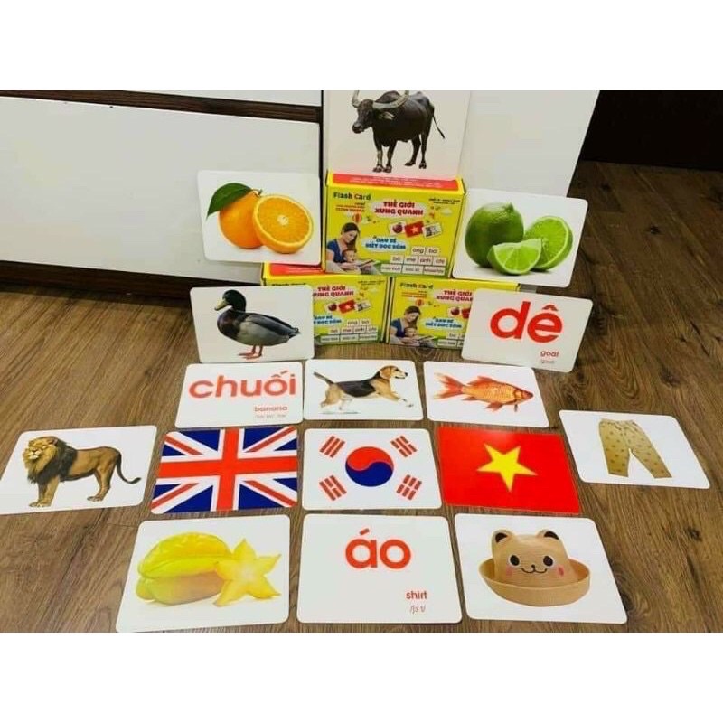 Bộ Thẻ học Glenn Doman, giúp bé biết đọc sớm và tìm hiểu về thế giới xung quanh