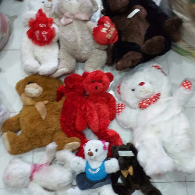 Gau bong loan ngoc