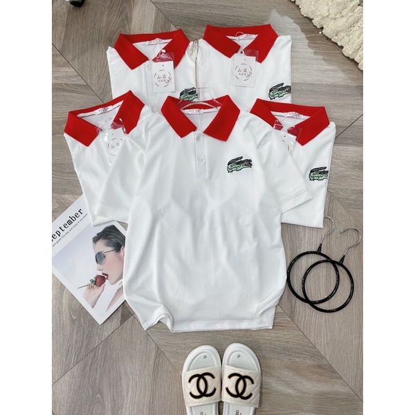 Áo Polo cá sấu cổ đỏ hot