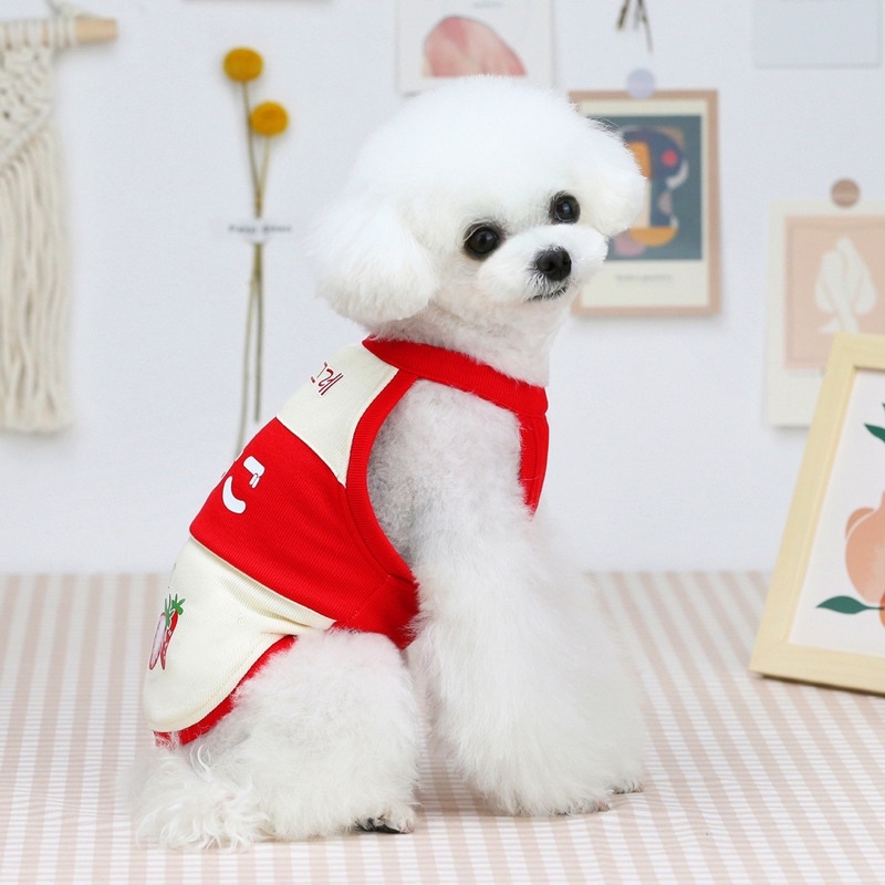 Áo ba lỗ sữa chua cute lạc lối cho cún miu