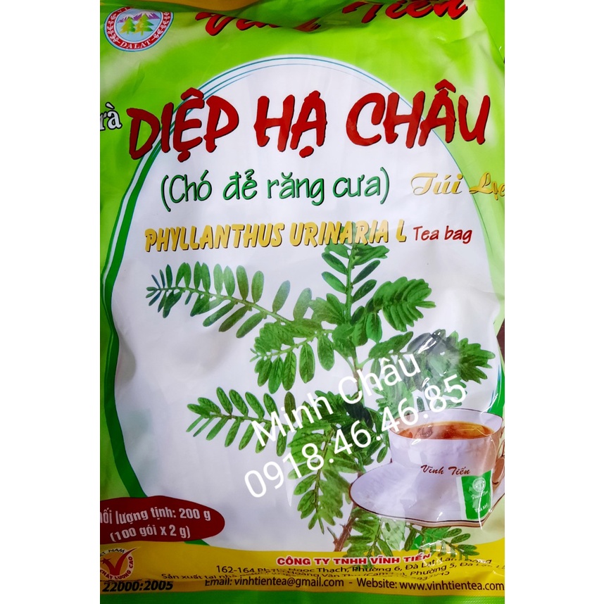 CHÍNH HÃNG TRÀ DIỆP HẠ CHÂU VĨNH TIẾN 100 GÓI