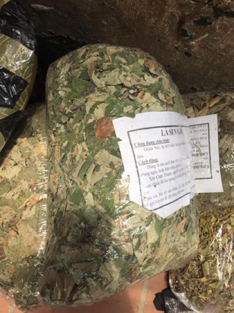 1 kg Lá sen Hà Nội cực thơm vụ mới 2023