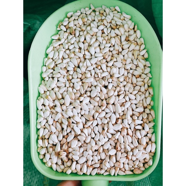 HẠT KHAM - 1kg Cho Gà, Chim, Vẹt…