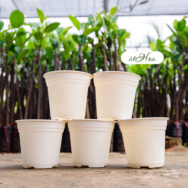 [ Sỉ từ 20 cái Chậu nhựa trắng T20 (20x15 cm) trồng cây, trồng hoa Nhựa cao cấp