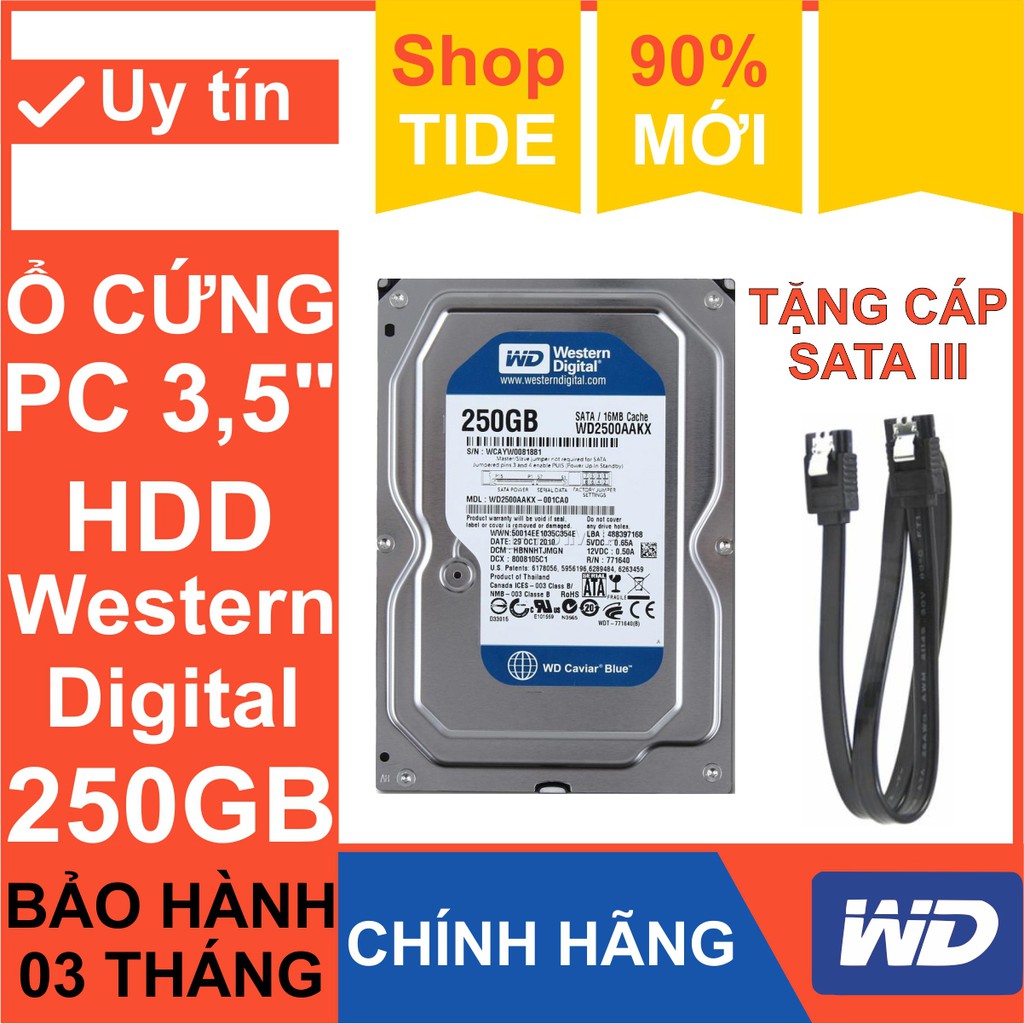 Ổ cứng PC 3.5” Western Digital 250GB - Chính Hãng - Tháo máy đồng bộ mới 99% - Bảo hành 3 tháng - HDD WD xanh