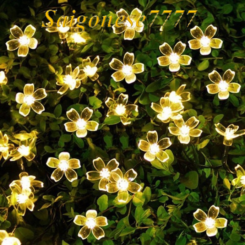 Đèn Led Cắm Điện Hoa Mai 3 Mét 18 Đèn Led Nhiều Màu Chớp Nháy Quấn Cây Mai Trang Trí Tết Giá Rẻ