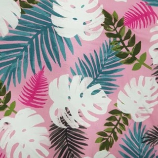 Vải lanh hàn quốc