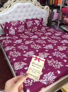 Ga gối cotton lụa ( cotton 100%)