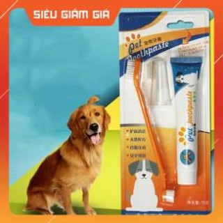 Bộ Đánh Răng Kem Đánh Răng Bàn Chải Đánh Răng Chó Mèo Pet Joothpaste