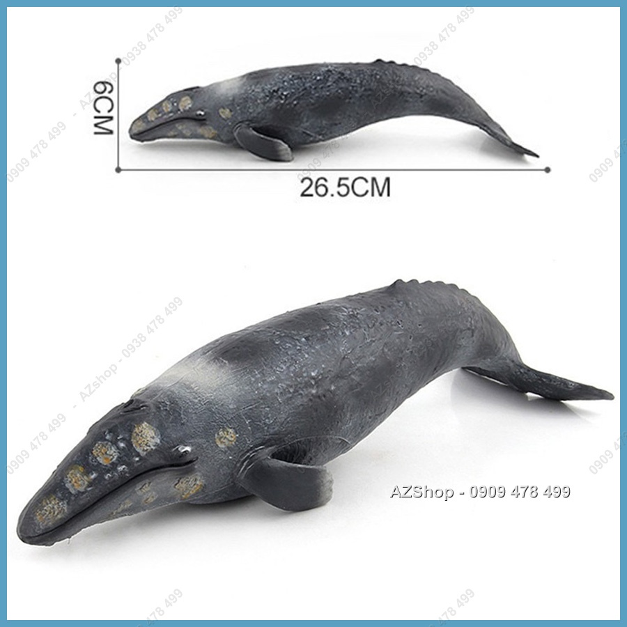 Mô Hình Họ Hàng Nhà Cá Voi Đại Dương - Dài 20-28cm
