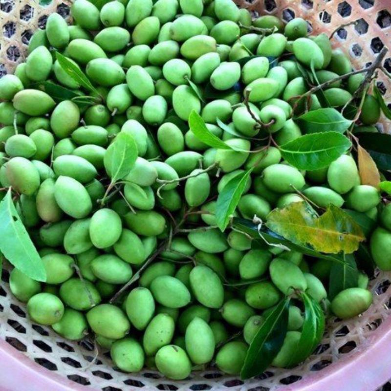 Cà Na Thái Tươi 1kg