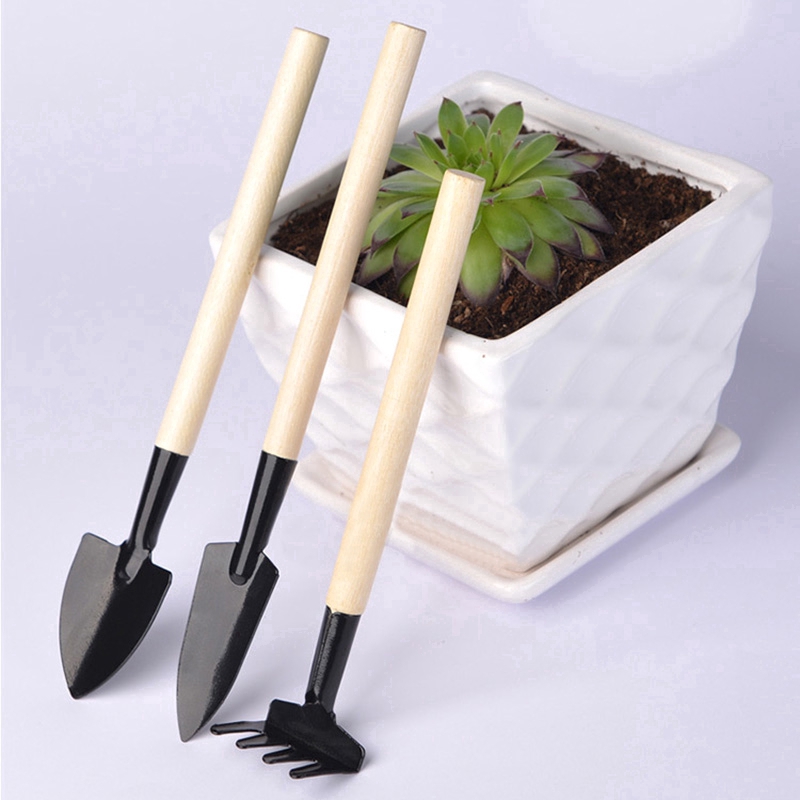 3 Dụng cụ làm vườn mini bằng thép không gỉ