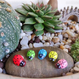 Phụ kiện trang trí tiểu cảnh Terrarium - 10 Bọ cánh cứng may mắn