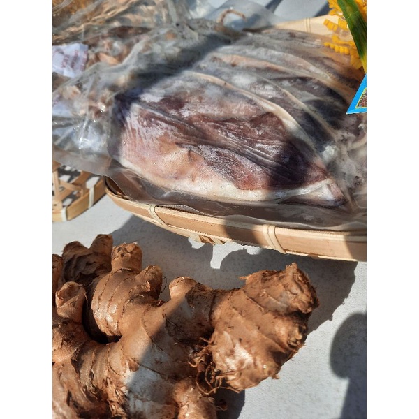 [FREE SHIP-HÀNG CHẤT LƯỢNG] Khô Mực Câu Phú Quốc Size 22-24 Con/kg Đảm Bảo Hàng Tự Nhiên, Hàng Ngon Ngọt. | BigBuy360 - bigbuy360.vn