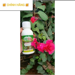 Rebio oligo 100ml trị nấm phấn trắng, đốm lá, đen thân, rỉ sắt, sương mai