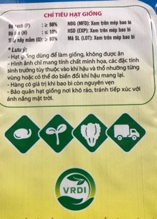 Hạt giống cải bẹ mào gà (20 gr) ☘️
