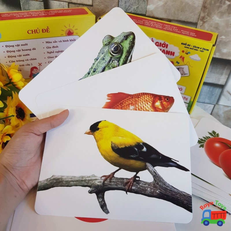 Flashcard cho bé bộ thẻ học thông minh loại to cứng A5 Glenn Doman 14 và 16 chủ đề mới có lớp cán bóng tặng file nghe