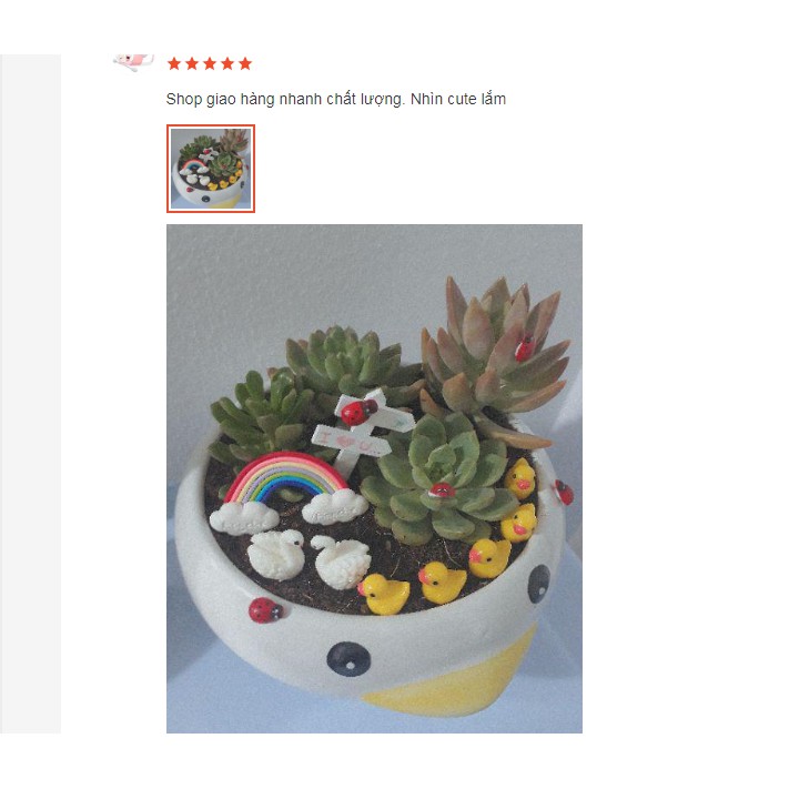 Cọc gỗ chỉ đường, mô hình trang trí tiểu cảnh terrarium