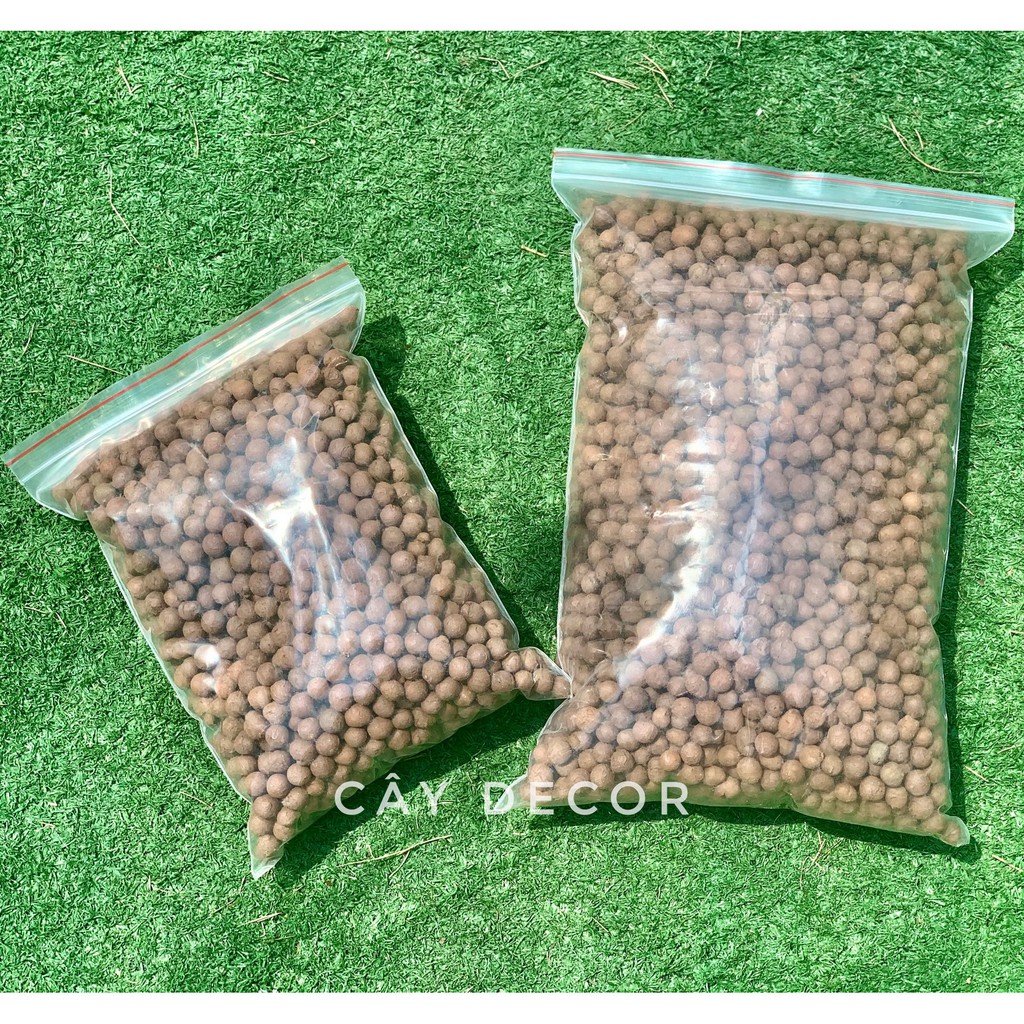 Viên đất nung [HÀNG THÁI] sỏi nhẹ, hạt tròn mịn, đẹp, màu tươi, size L bao 500gr