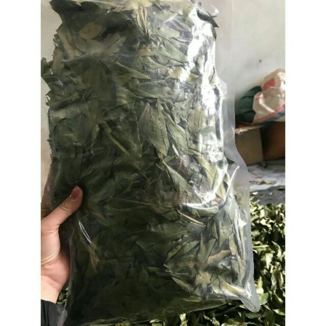 Lá bưởi tươi 1 kg