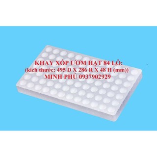 KHÂY XỐP ƯƠM HẠT 84 LỖ