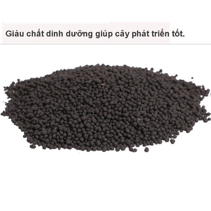 Phân Nền Cho Cây Thủy
