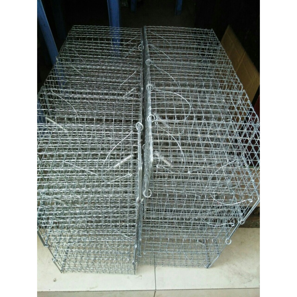 Combo 2 bẩy chuột , sóc trung