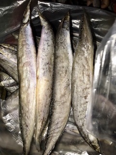 Chạch đồng 1 nắng 1kg