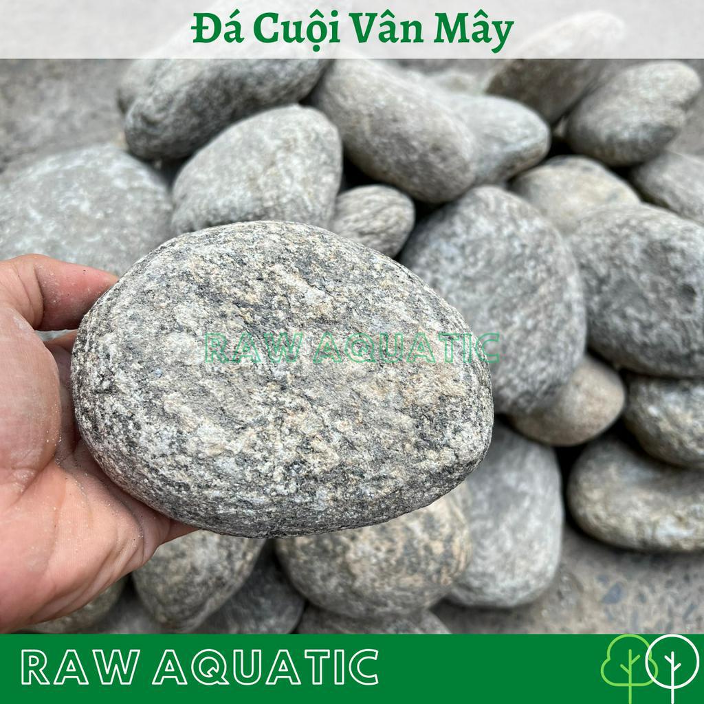 Đá Cuội Vân Mây Trang Trí, Setup Bể Cá Cảnh, Bể Thủy Sinh