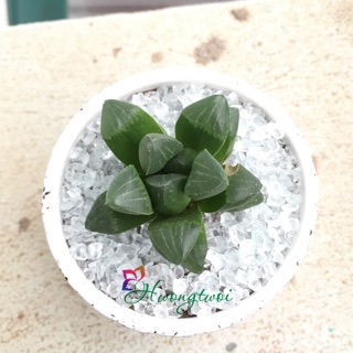 Đá trắng thuỷ tinh trang trí