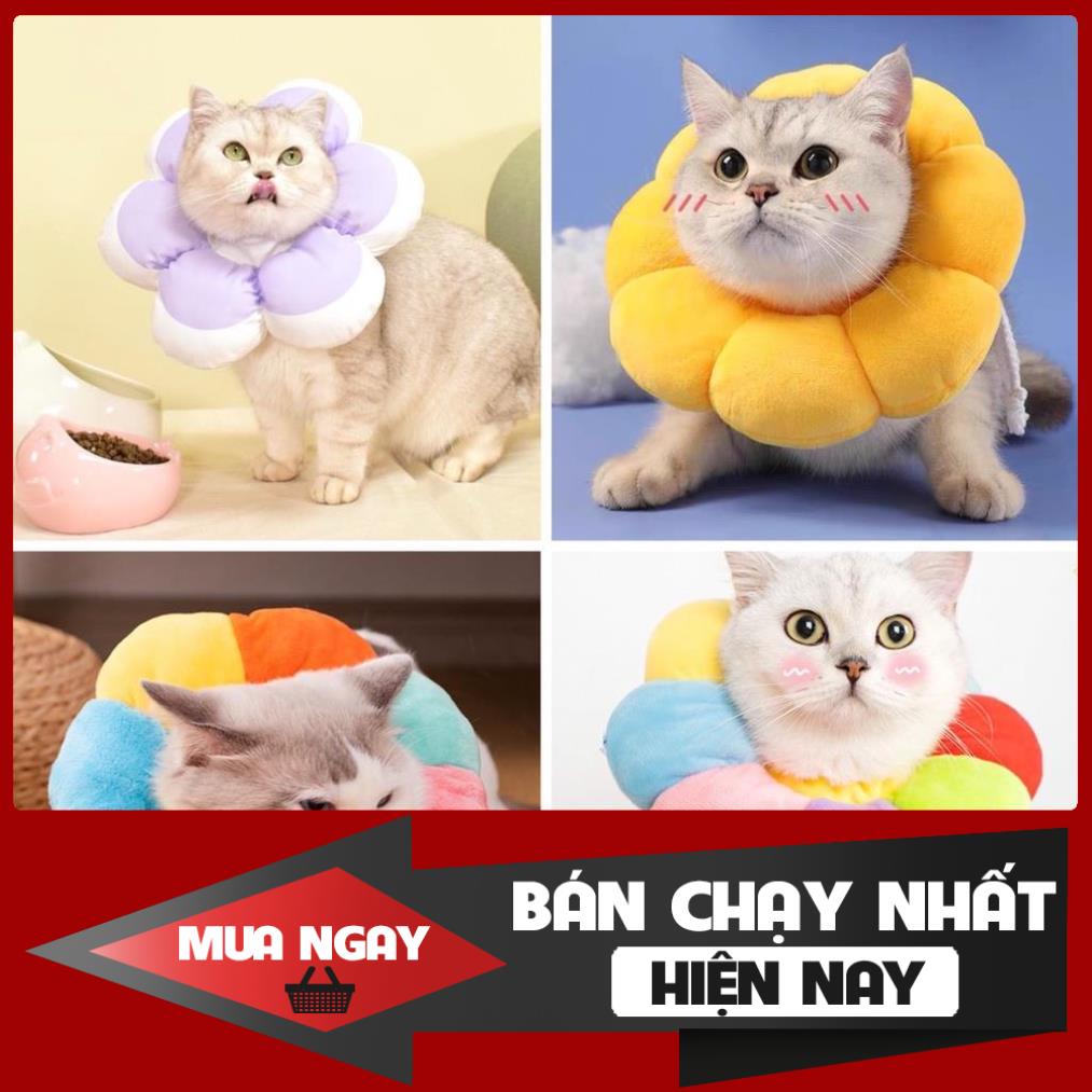 [NEW] Vòng chống liếm hình hoa cho chó mèo bông mềm mịn nhiều màu cao cấp