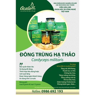 Đông Trùng Hạ Thảo