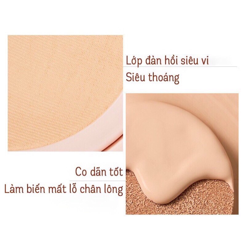 HEXZE cushion phấn nước cao cấp dành cho da dầu ( tặng kèm lõi thay) | BigBuy360 - bigbuy360.vn