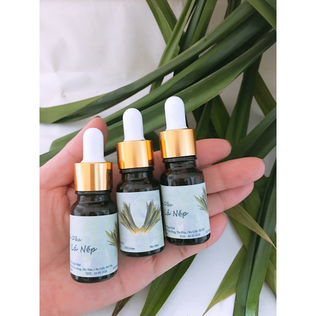 Combo 03 Lọ Tinh dầu Lá Nếp 10ml