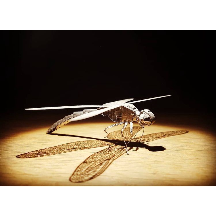 Mô Hình Kim Loại Lắp Ráp 3D Metal Mosaic Chuồn Chuồn Dragonfly