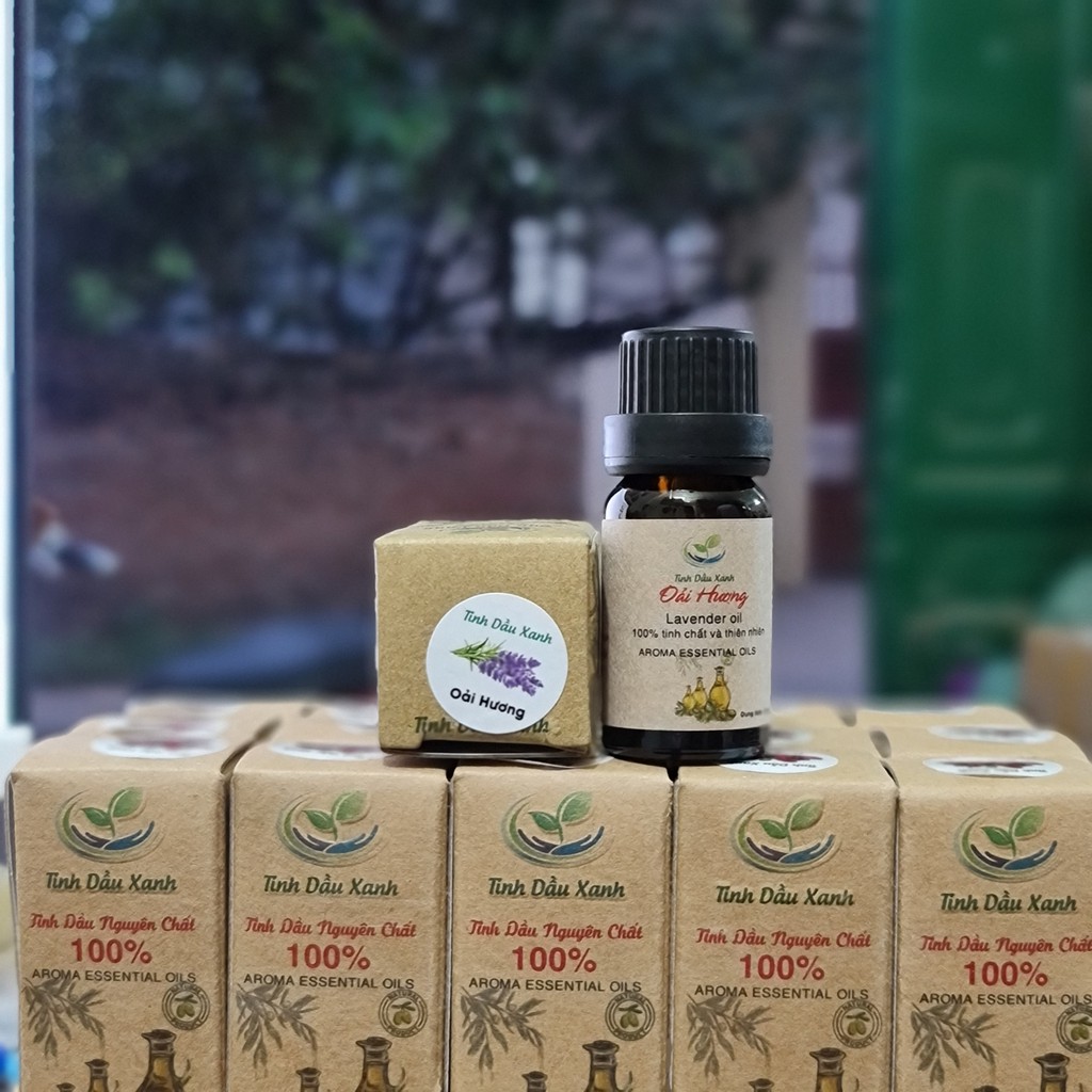 Tinh dầu thơm phòng thiên nhiên từ bưởi và xả quế vừa dùng đuổi muỗi và dưỡng tóc hiệu quả Shop Movava - TDTN1