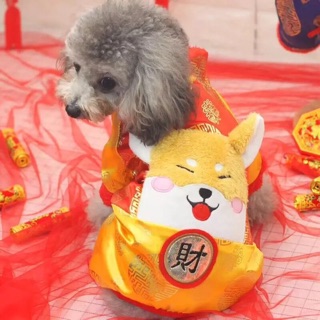 Áo tết cho thú cưng