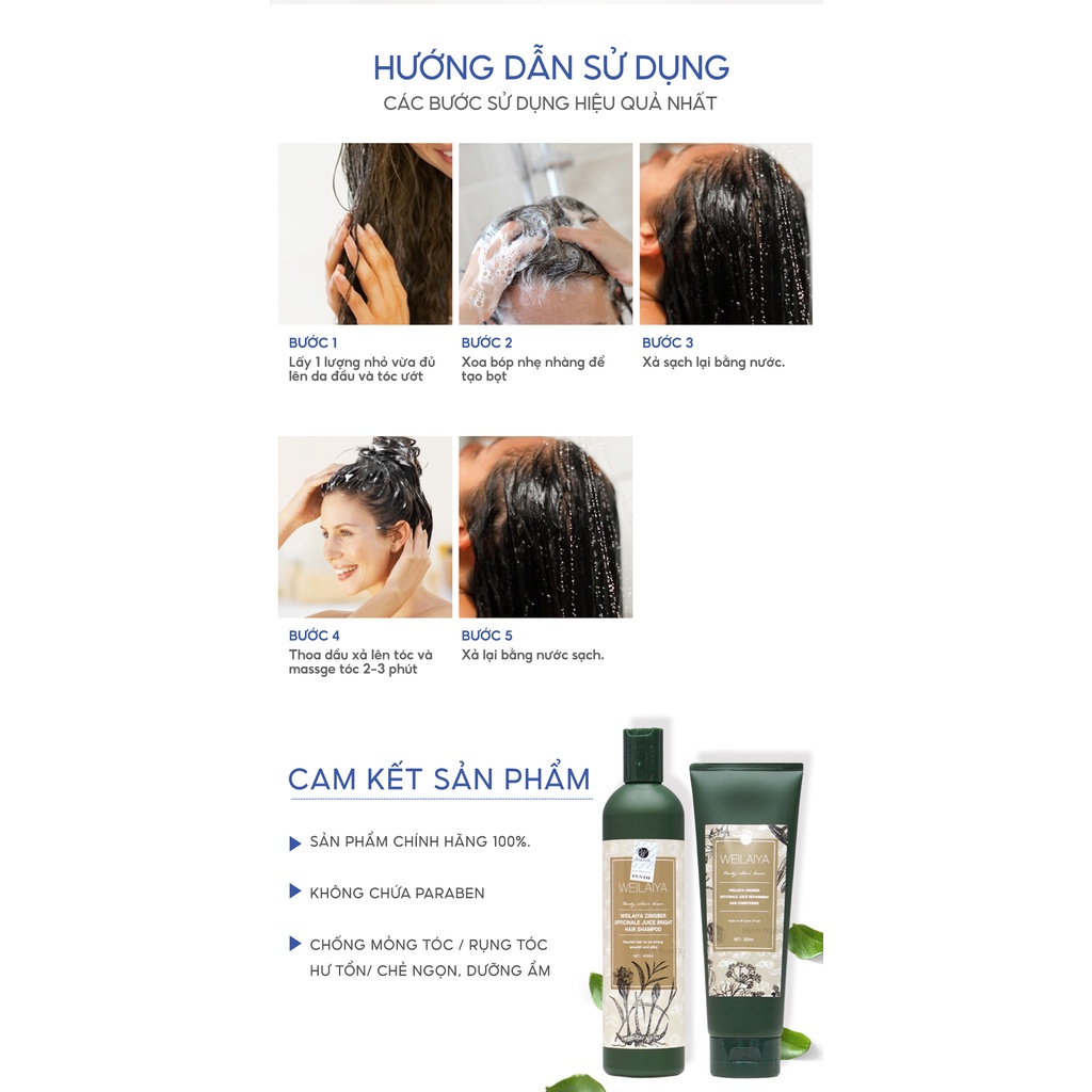 Combo dầu gội xả gừng hà thủ ô WEILAIYA ZINGIBER OFFICINALE JUICE chống rụng kích mọc tóc 400ml + 250ml tặng set mini