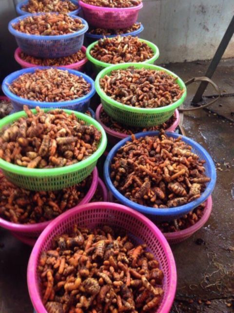 500gr Tinh Bột nghệ vàng nguyên chất 100%