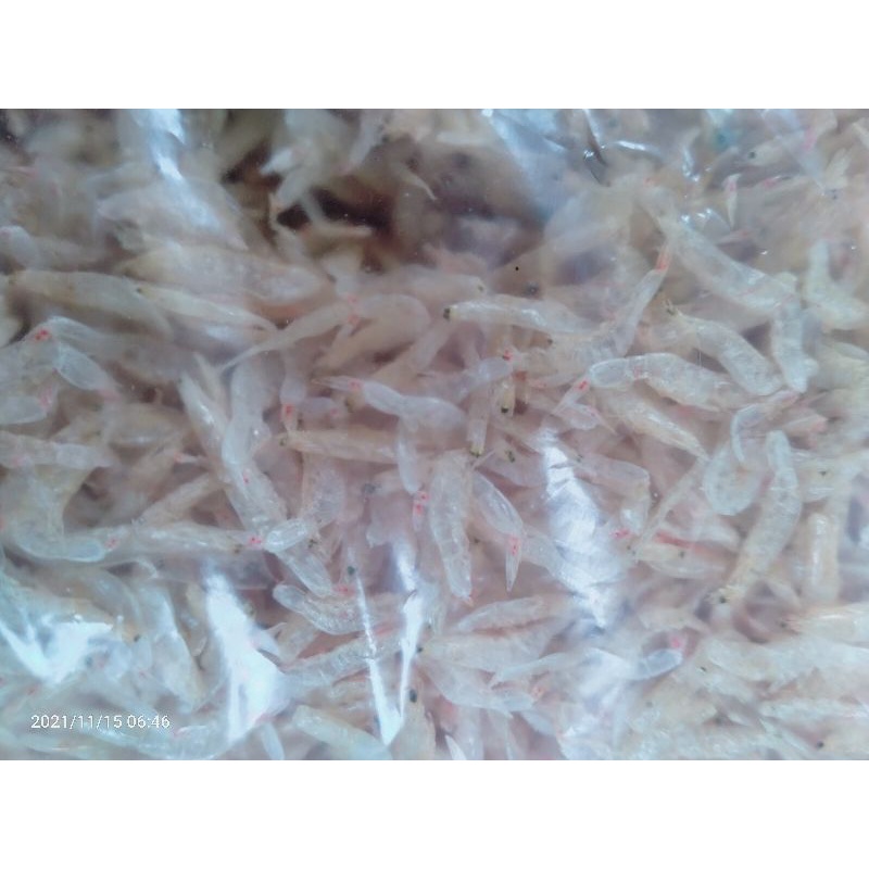 500g Tép Khô Hành Bao Ngon Y Hình