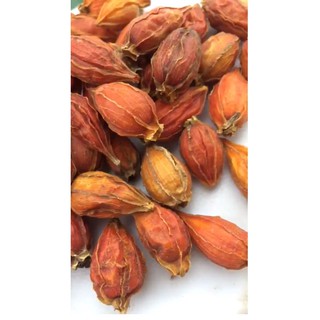 Quả Dành Dành sấy khô 100g ( đã tách sẵn vỏ)