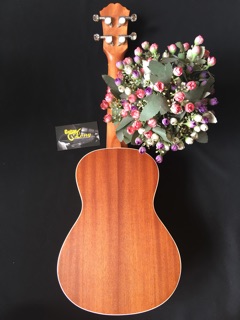 Đàn Ukulele Concert Giá Rẻ CB1