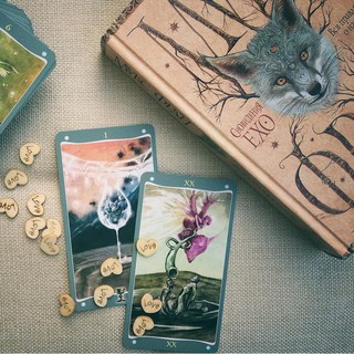 Bộ Bài Fairy Lights Tarot Deck (Guu Tarot Shop)