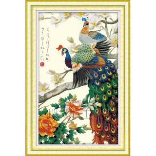 Tranh Thêu Chữ Thập Khổng Tước Phú Quý A733 (khách tự thêu) KT:51x78cm