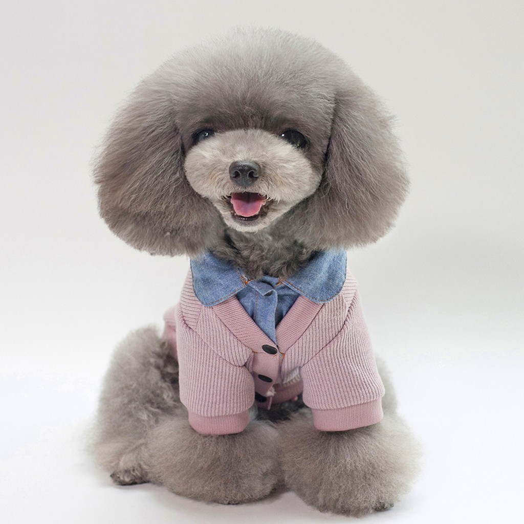 Áo Sweater Cổ Bẻ Giả Hai Lớp In Chữ Cho Thú Cưng